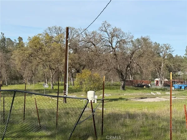 a view of a green field