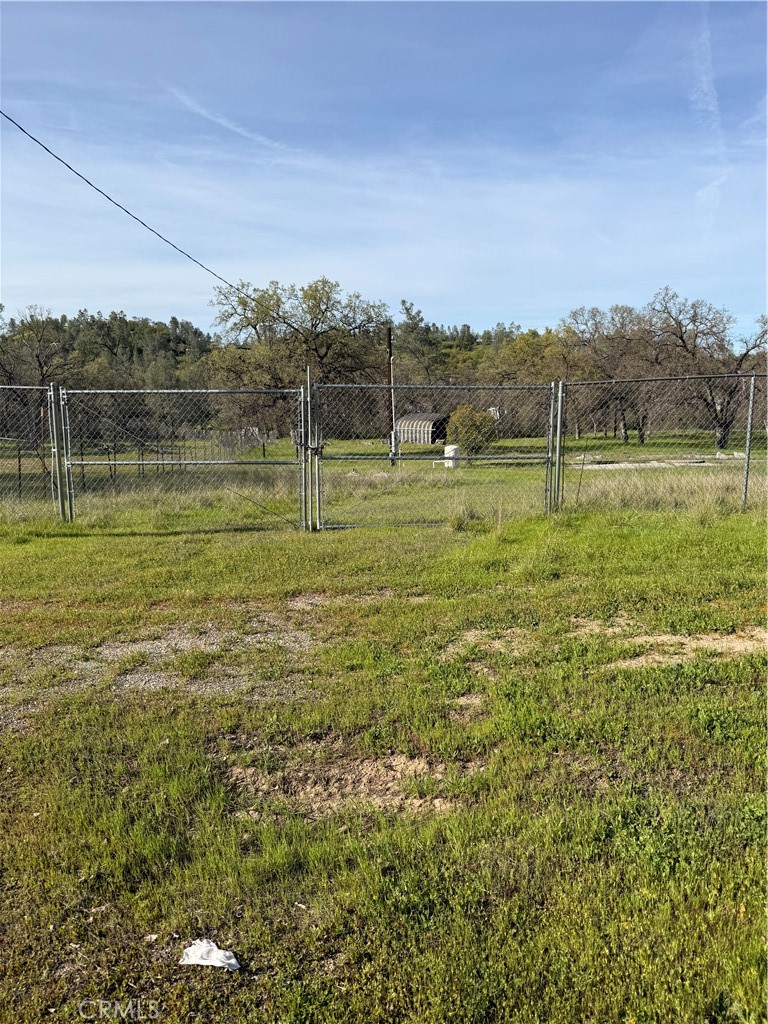 15740 Rancho Tehama Road Corning, CA 96021 - Photo 7 of 9 a view of an outdoor space and a yard