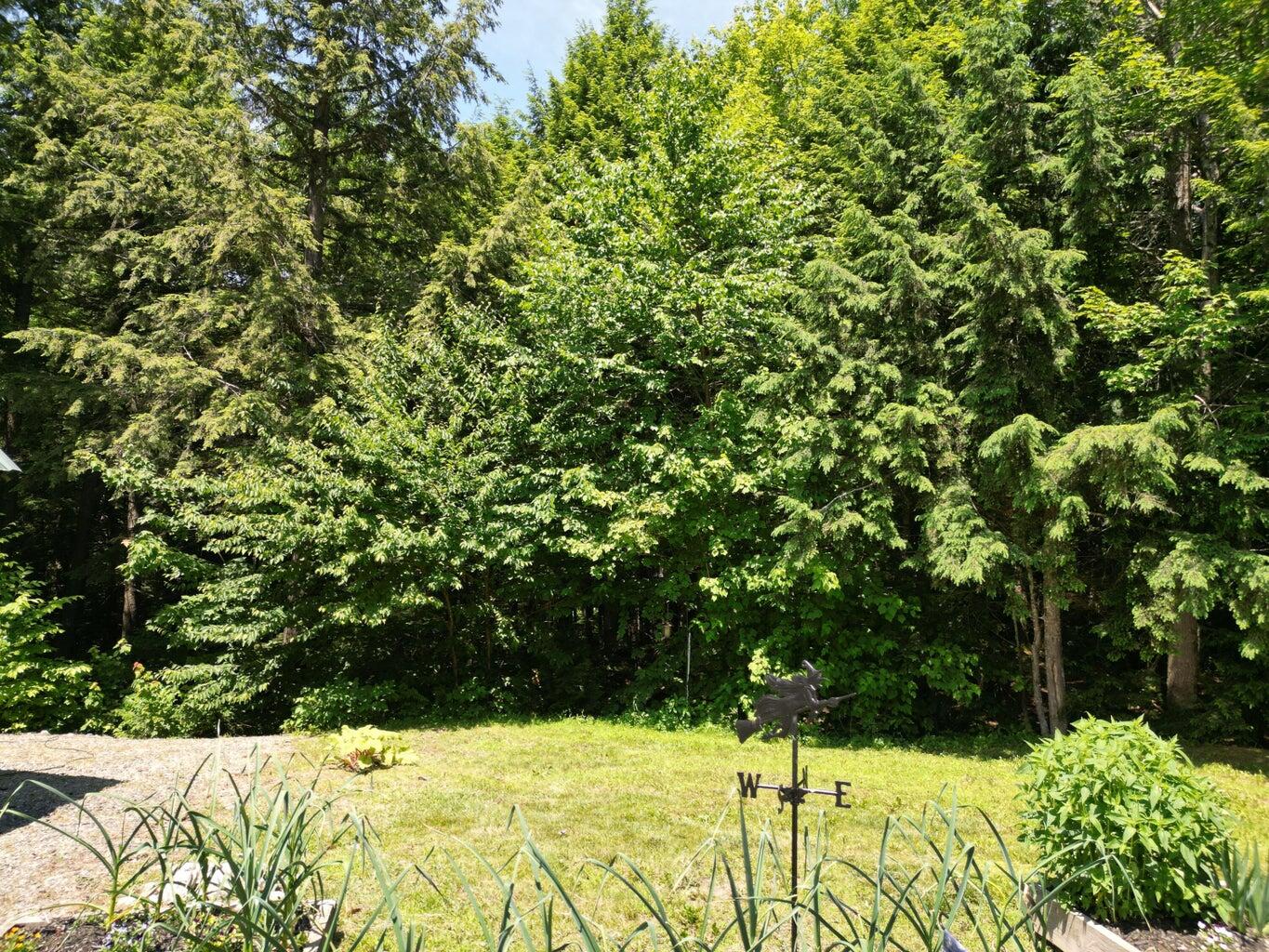 25 Loop Road Chester, ME 04457 - Photo 51 of 60 51