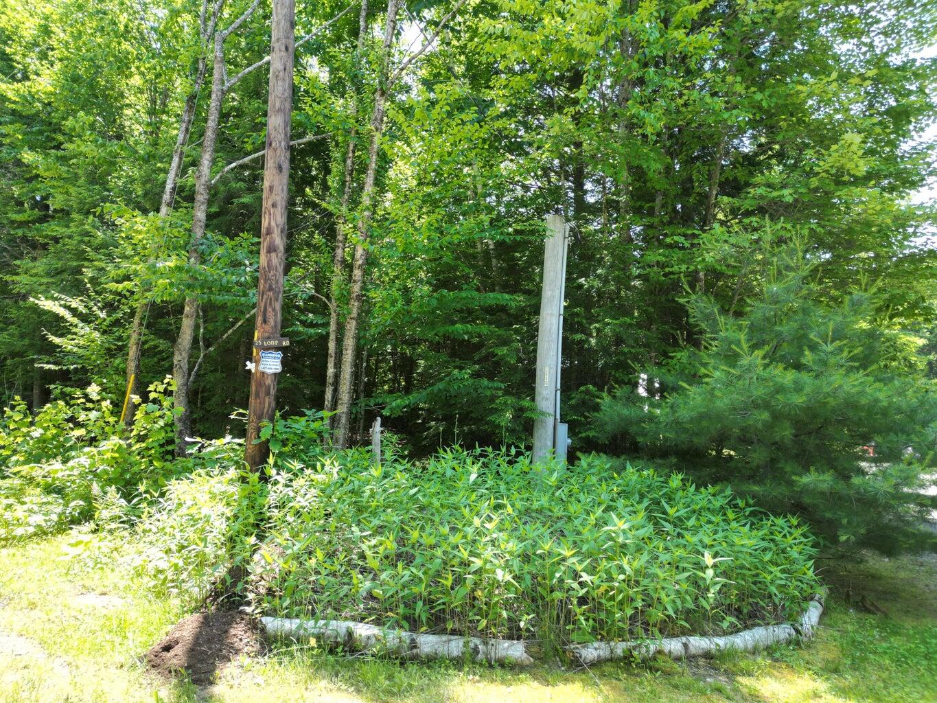 25 Loop Road Chester, ME 04457 - Photo 60 of 60 60