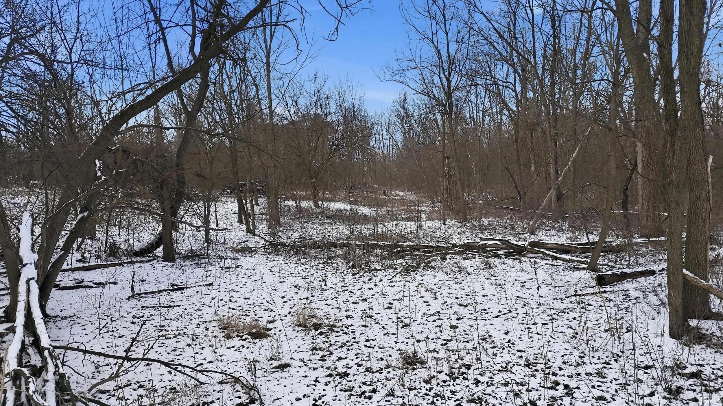 12950 West Washington Center Road Fort Wayne, IN 46818 - Photo 11 of 14