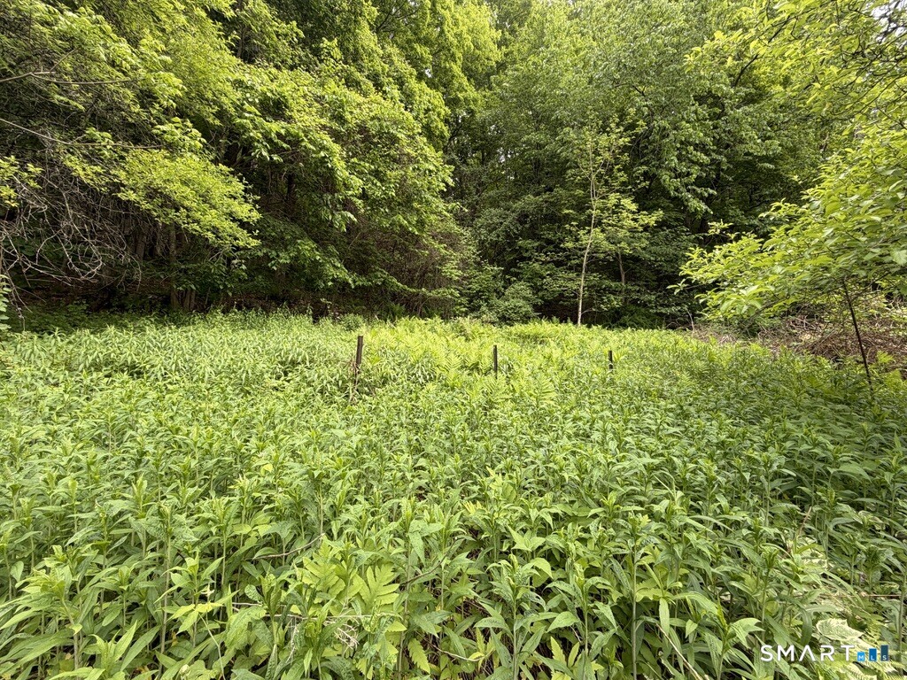 48 Lower River Road Cornwall, CT 06796 - Photo 23 of 30