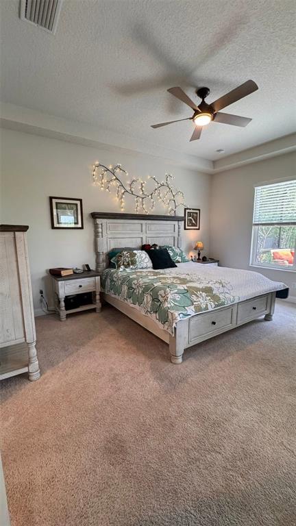 20 Spring Street Palm Coast, FL 32164 - Photo 9 of 31