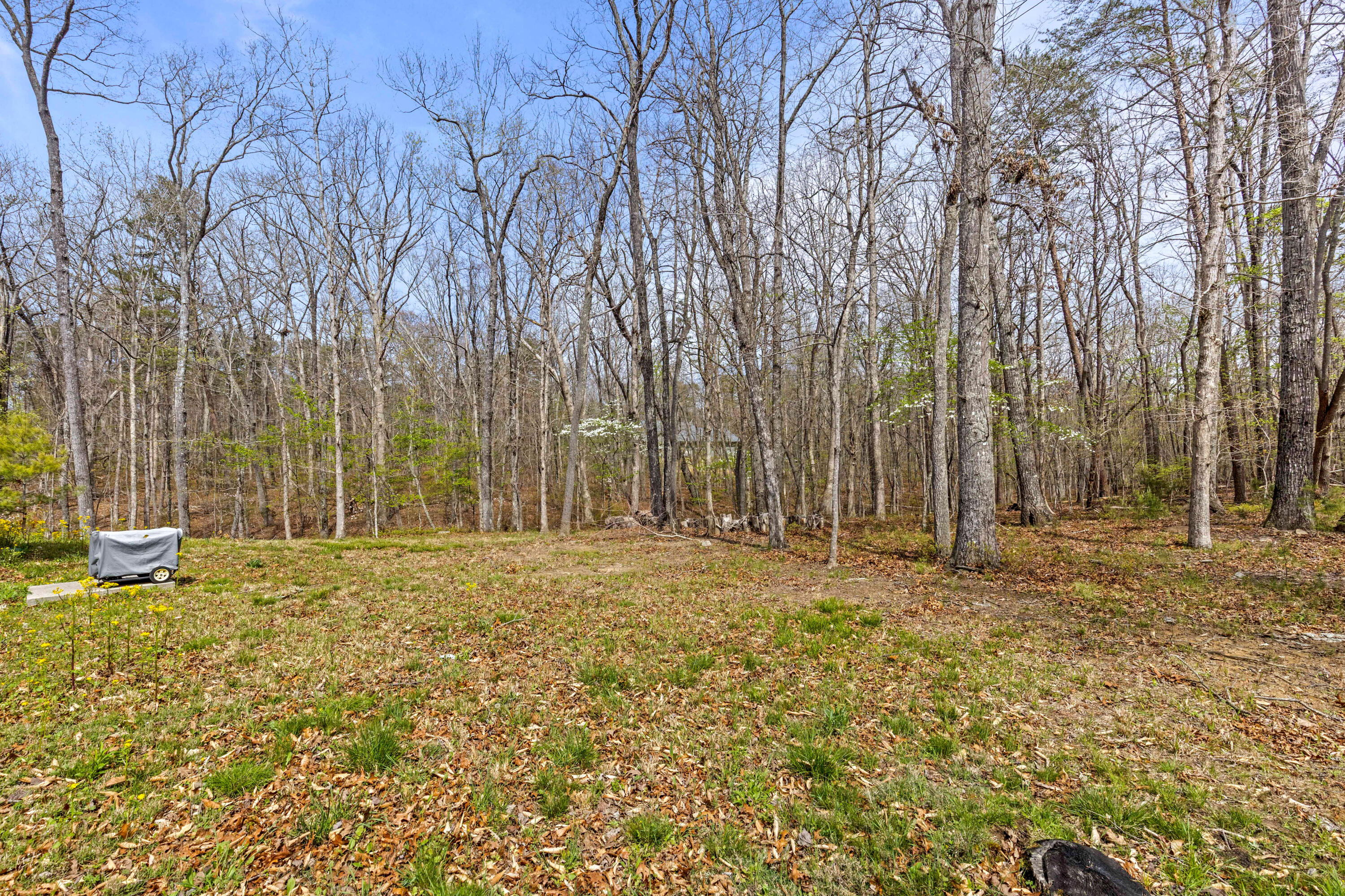 90 Crook View Road Menlo, GA 30731 - Photo 47 of 60 Crook-51