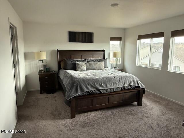 1353 Stock Horse Road Sparks, NV 89436 - Photo 17 of 34 IMG_6272