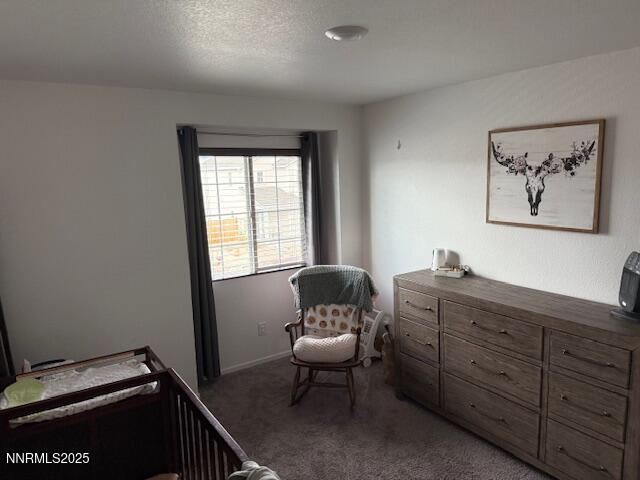 1353 Stock Horse Road Sparks, NV 89436 - Photo 22 of 34 IMG_6284