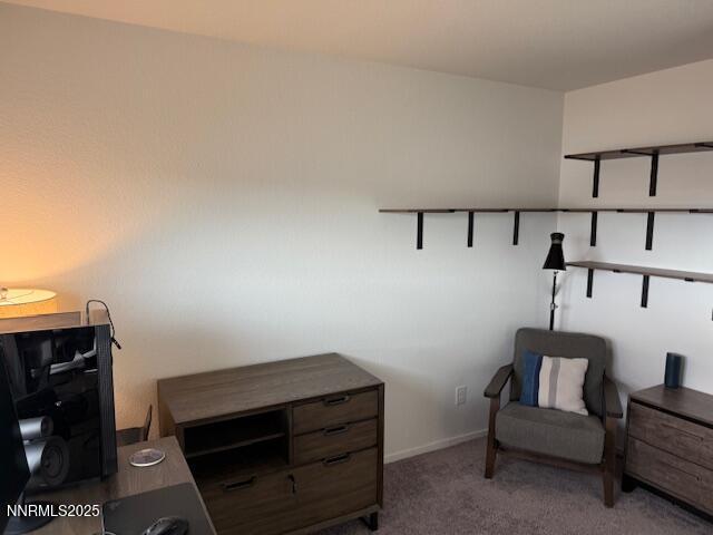 1353 Stock Horse Road Sparks, NV 89436 - Photo 26 of 34 IMG_6288