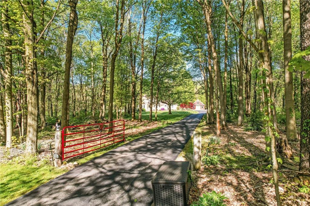 9935 Greiser Road Conneaut Lake, PA 16316 - Photo 16 of 50 a view of a yard with plants and trees