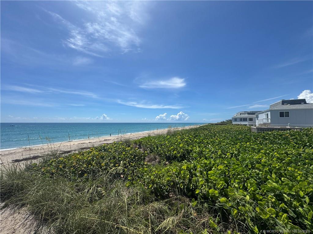 1501 Northeast Ocean Boulevard, Unit 9 Stuart, FL 34996 - Photo 9 of 41 a view of a big yard with large trees