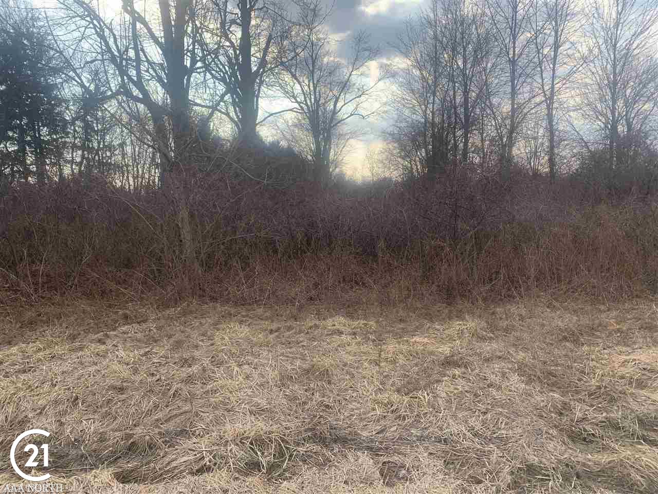 79951 Coon Creek Road Armada, MI 48005 - Photo 17 of 27 Gallery Image 17