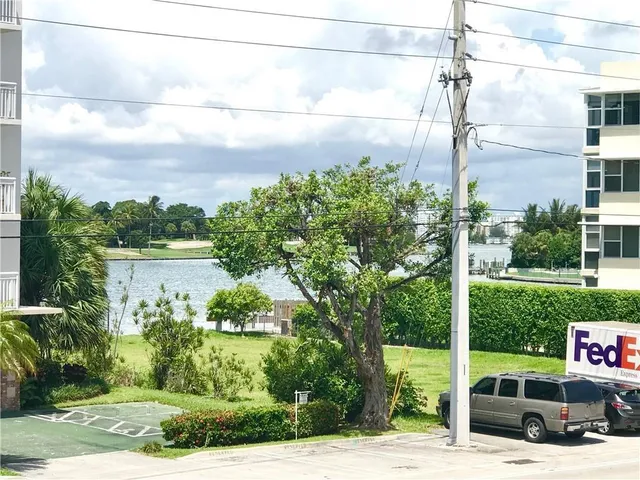 a view of a garden with flower plants