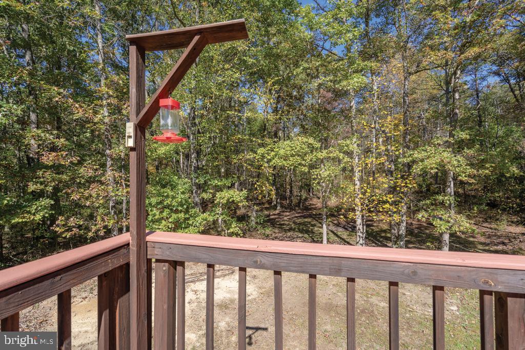 10424 Settle School Road Rixeyville, VA 22737 - Photo 47 of 53 upper deck backyard view