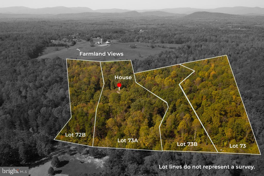 10424 Settle School Road Rixeyville, VA 22737 - Photo 7 of 53 House lot & adjacent lots also for sale