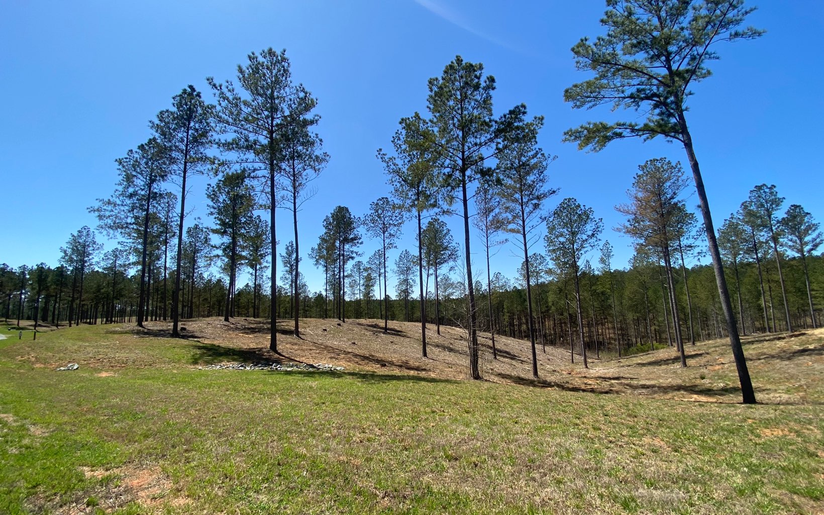 82 High River Road Ellijay, GA 30540 - Photo 3 of 4 Additional View