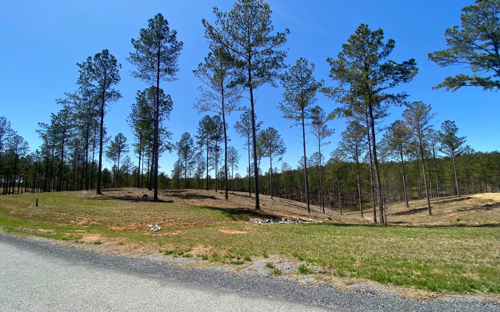 82 High River Road Ellijay, GA 30540 - Photo 4 of 4 Additional View