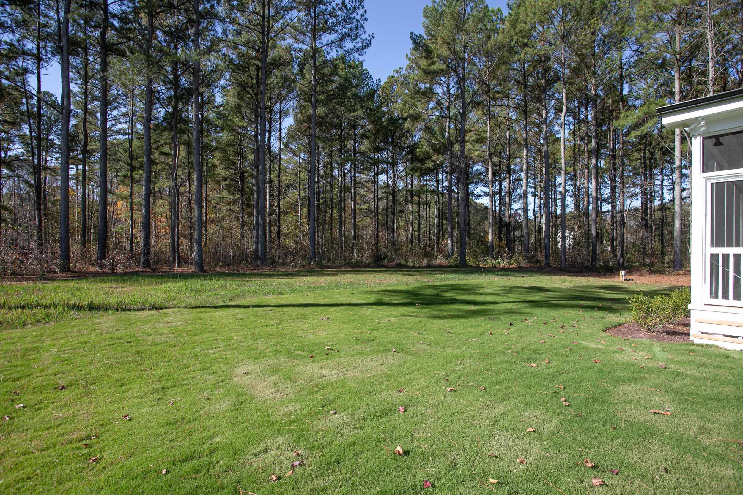 1513 Starry Night Court Raleigh, NC 27613 - Photo 4 of 38 Photo 4