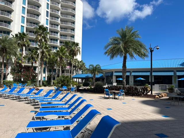 a view of a house with a yard plants and large tree