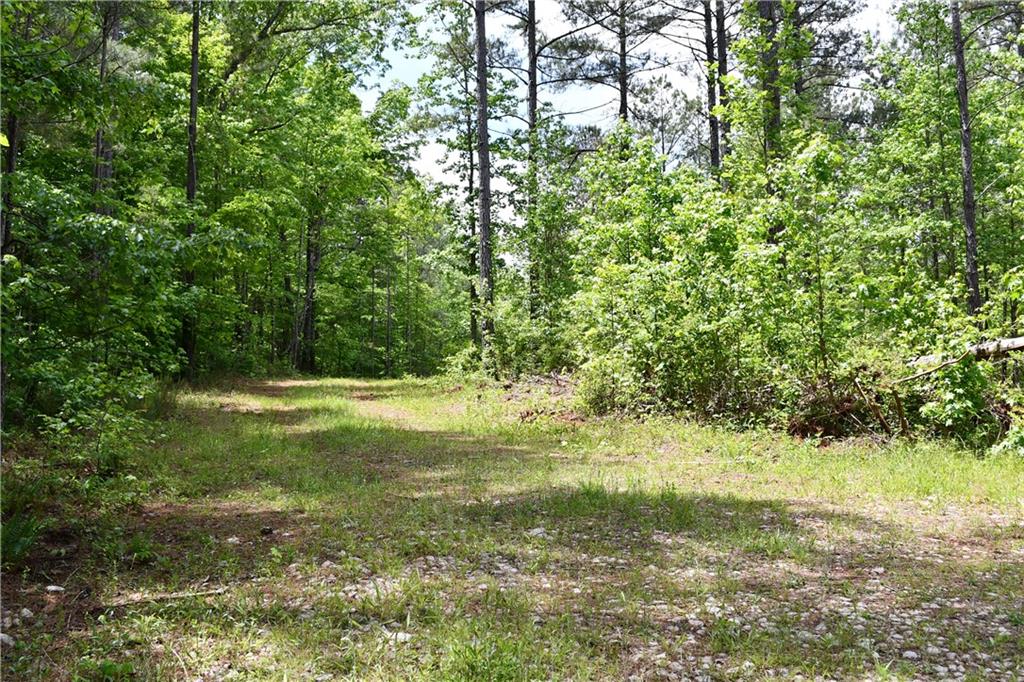 1 Wilson Road Temple, GA 30179 - Photo 46 of 88