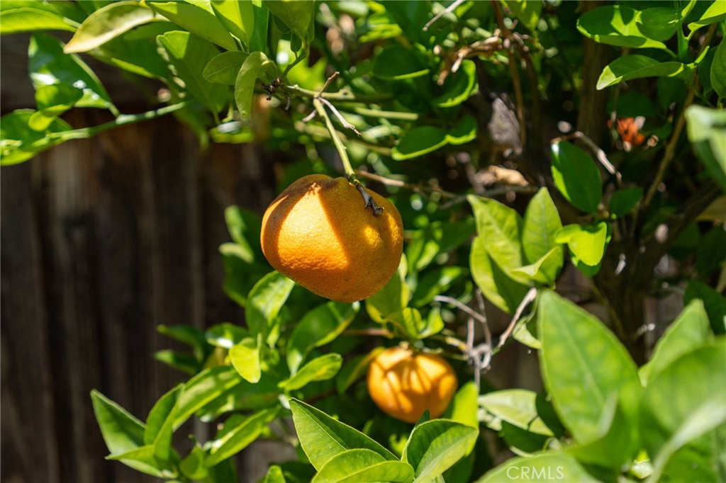 33349 Wallace Way Yucaipa, CA 92399 - Photo 30 of 36