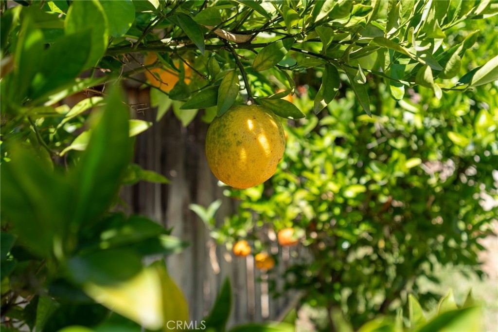 33349 Wallace Way Yucaipa, CA 92399 - Photo 32 of 36