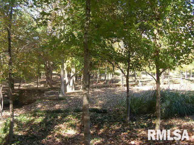 245 Pond Road Vienna, IL 62995 - Photo 14 of 36