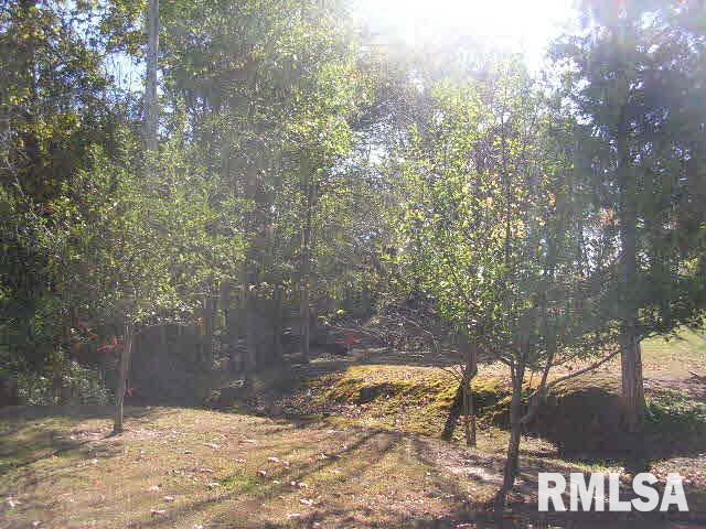 245 Pond Road Vienna, IL 62995 - Photo 28 of 36