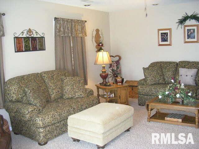 245 Pond Road Vienna, IL 62995 - Photo 5 of 36