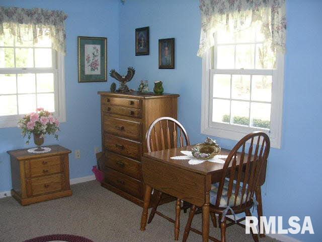 245 Pond Road Vienna, IL 62995 - Photo 7 of 36