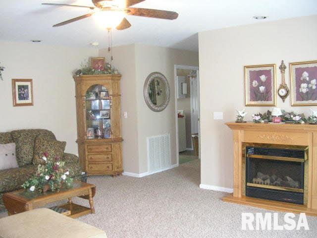 245 Pond Road Vienna, IL 62995 - Photo 8 of 36