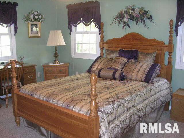 245 Pond Road Vienna, IL 62995 - Photo 9 of 36