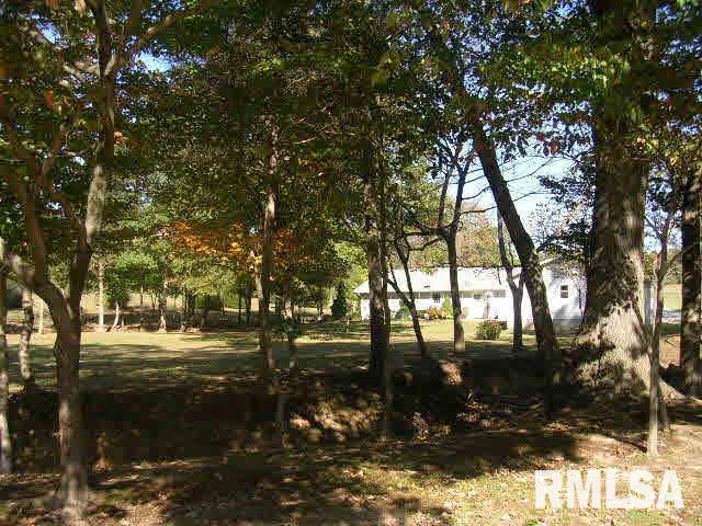 245 Pond Road Vienna, IL 62995 - Photo 10 of 36