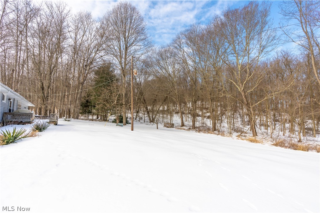 4101 Leisure Road Northwest Minerva, OH 44657 - Photo 5 of 14 Gallery Image 5