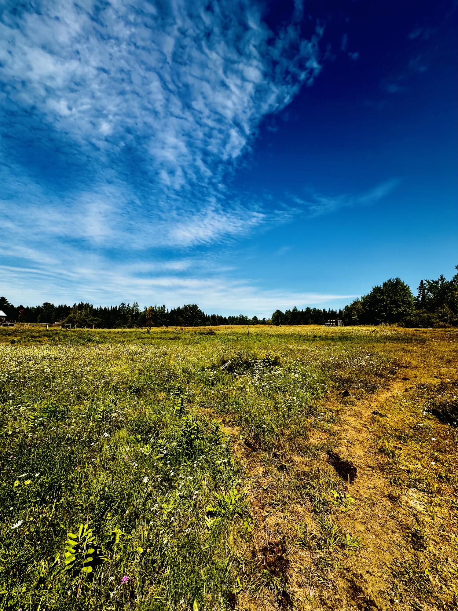 1118 Exeter Road Exeter, ME 04435 - Photo 4 of 16 IMG_7610