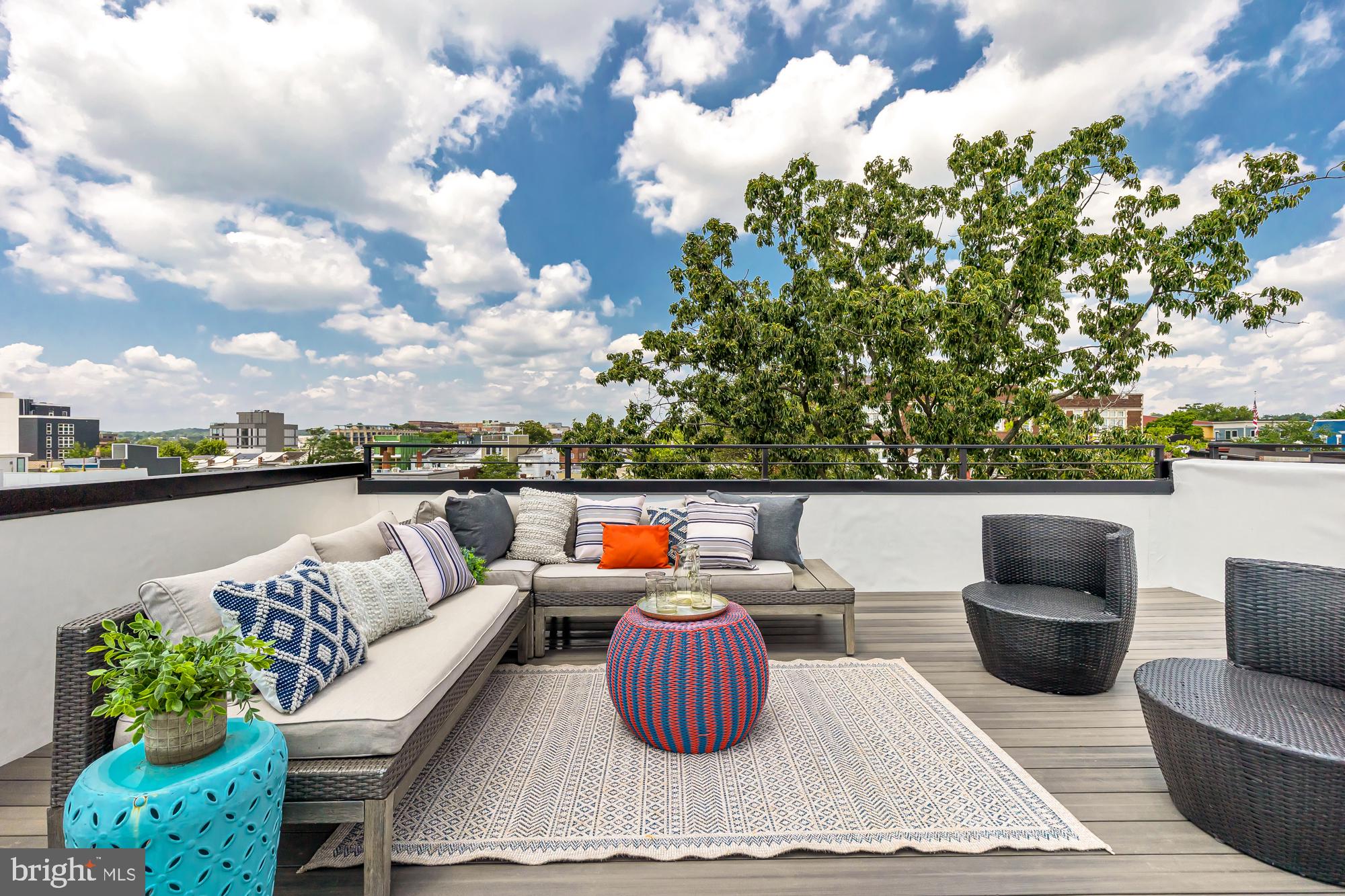 539 Park Road Northwest, Unit TH2 Washington, DC 20010 - Photo 54 of 60 Private Roof Deck