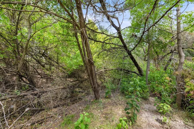a backyard of a house with lots of trees