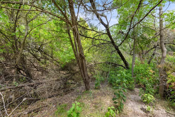 a backyard of a house with lots of trees
