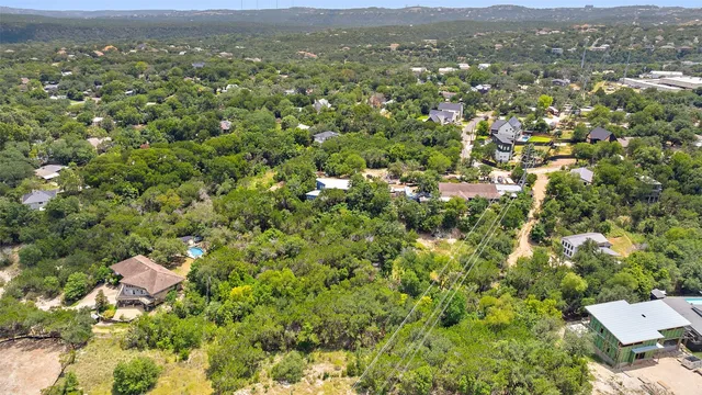 a view of a bunch of flowers
