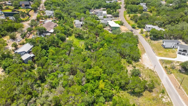 a view of a bunch of trees with a tree