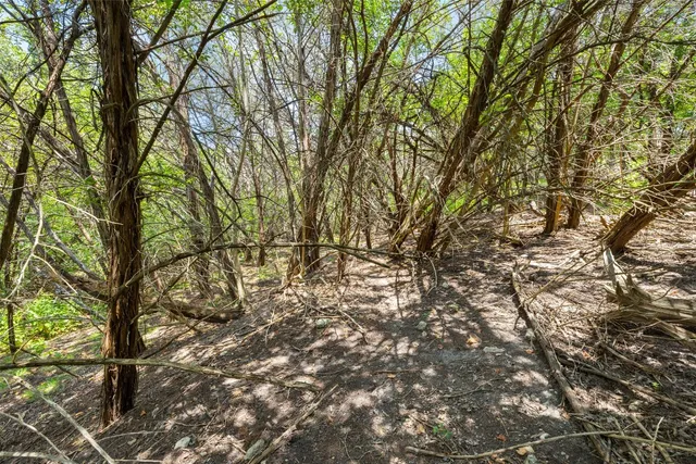a backyard of a house with lots of trees
