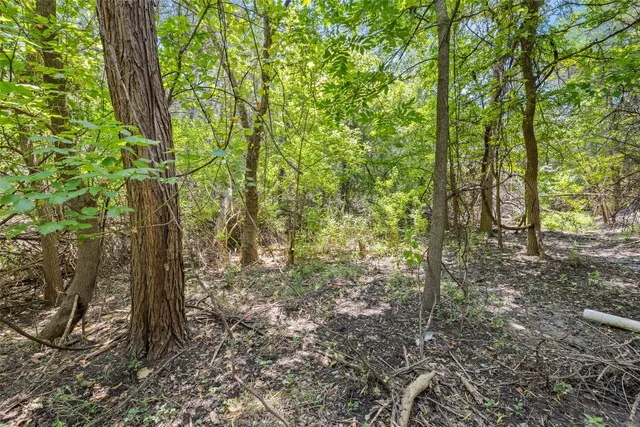 a view of outdoor space and trees