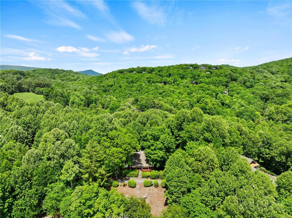 351 Old Bark Road Boone, NC 28607 - Photo 41 of 50