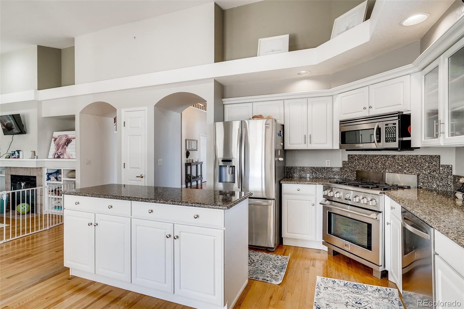 9352 Weatherstone Lane Highlands Ranch, CO 80126 - Photo 11 of 26 Gallery Image 11