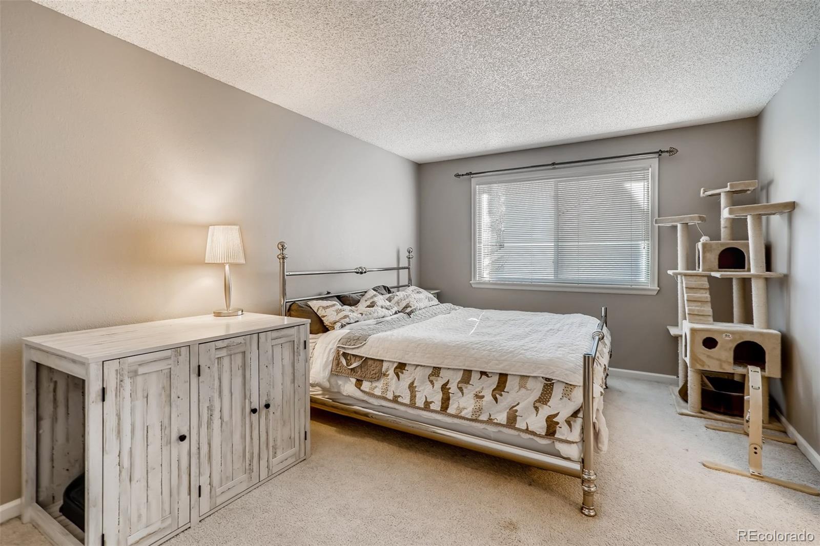 9352 Weatherstone Lane Highlands Ranch, CO 80126 - Photo 18 of 26 Gallery Image 18