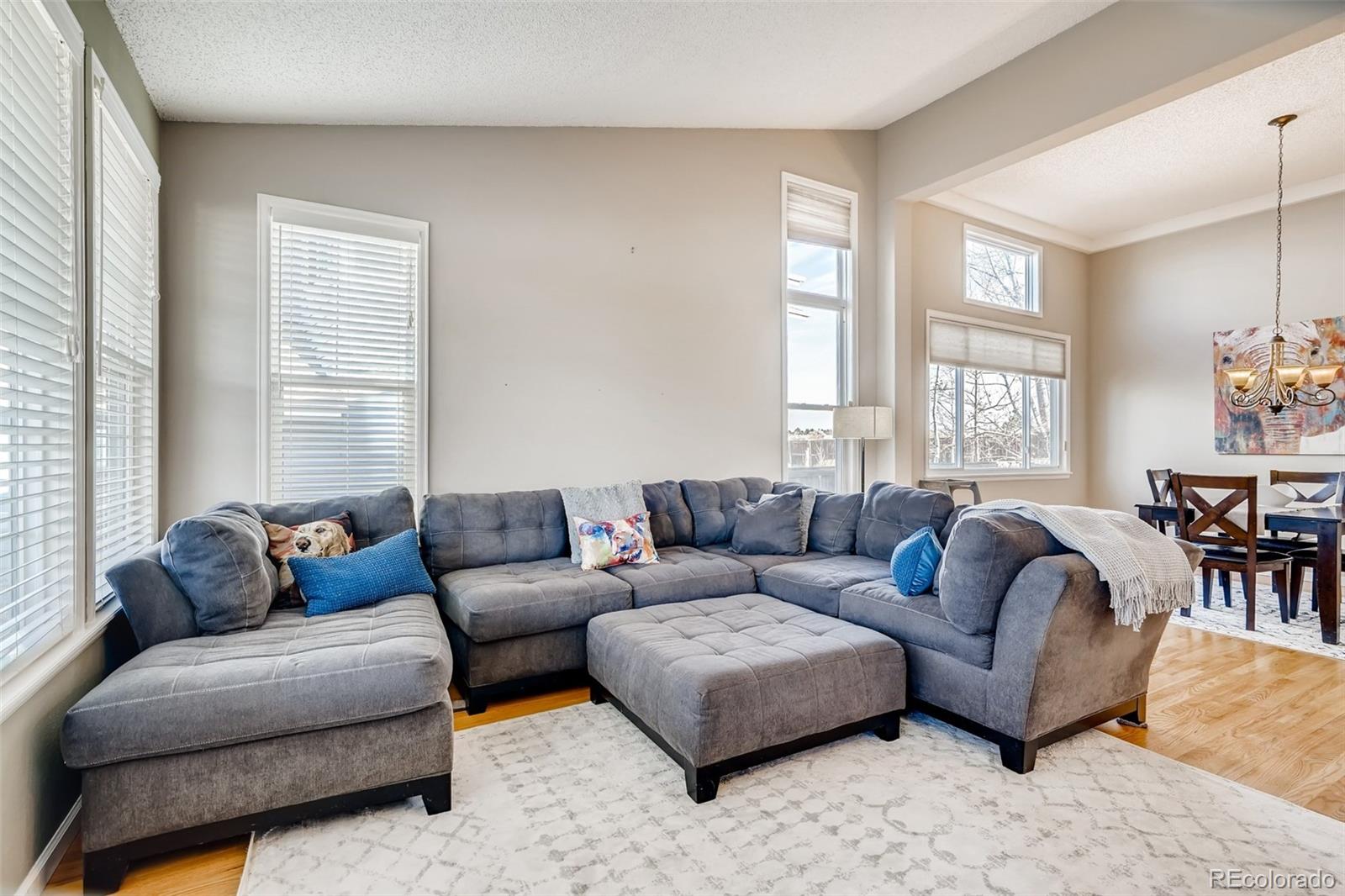 9352 Weatherstone Lane Highlands Ranch, CO 80126 - Photo 6 of 26 Gallery Image 6