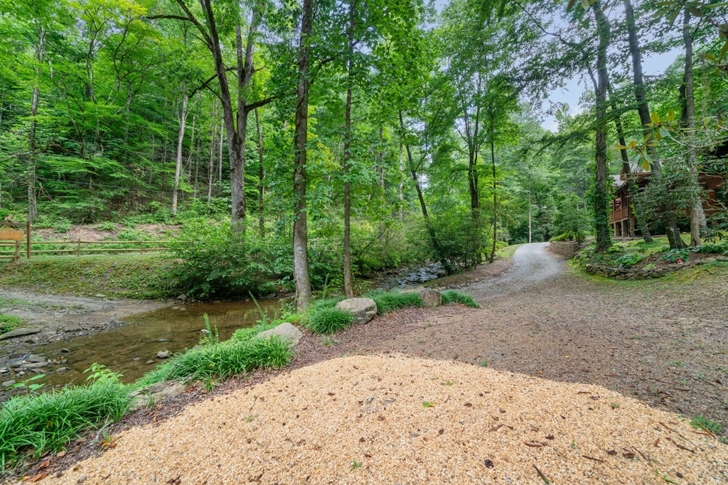 11288 Old CCC Camp Road Ellijay, GA 30540 - Photo 54 of 62 Gallery Image 54