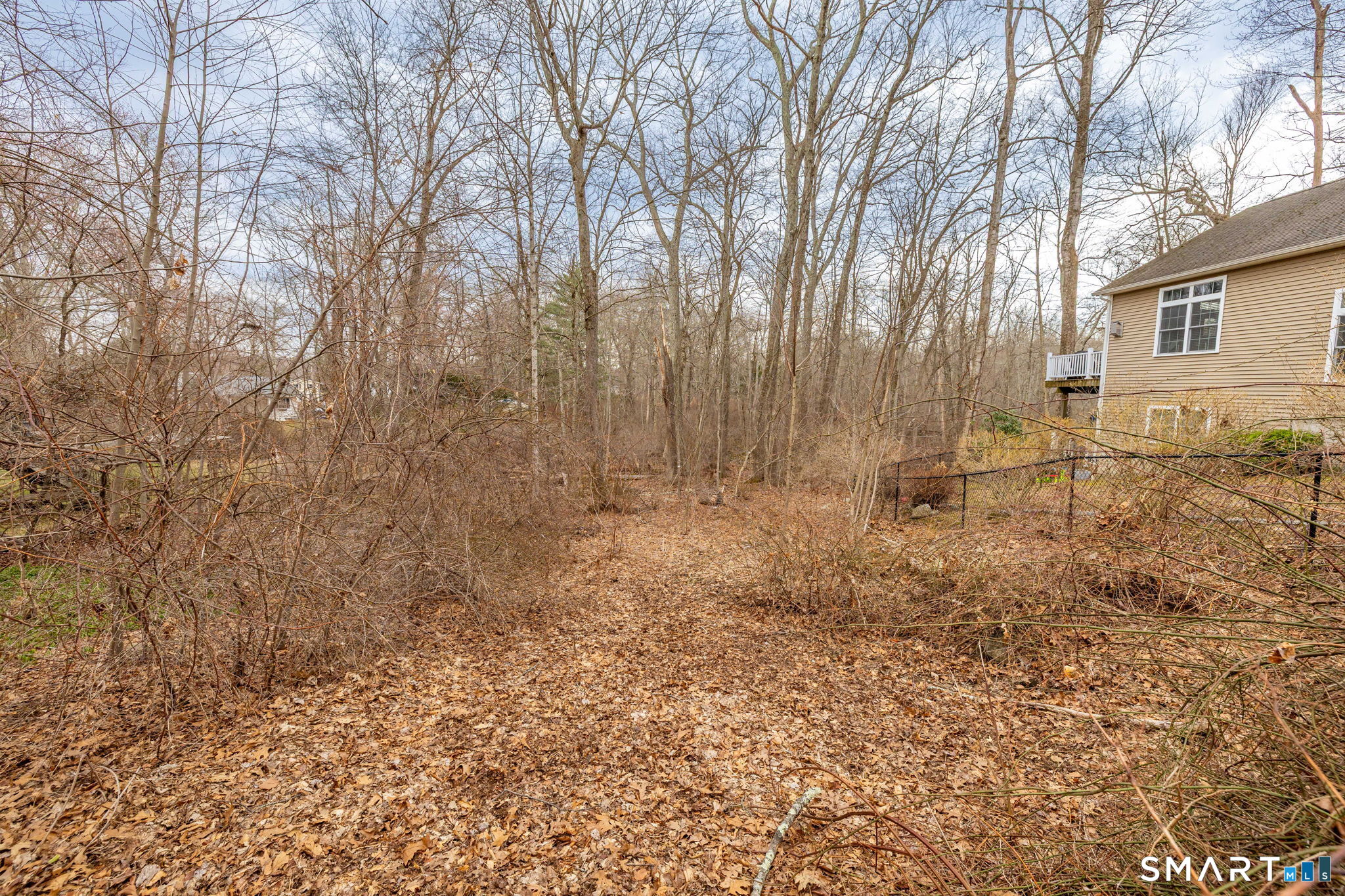 21 Bass Lake Road Hebron, CT 06231 - Photo 12 of 13 a view of backyard with trees