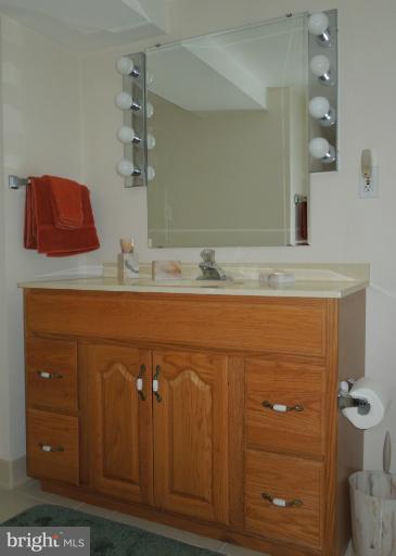 119 Charmuth Road Lutherville-Timonium, MD 21093 - Photo 2 of 14 Full bath on Lower Level