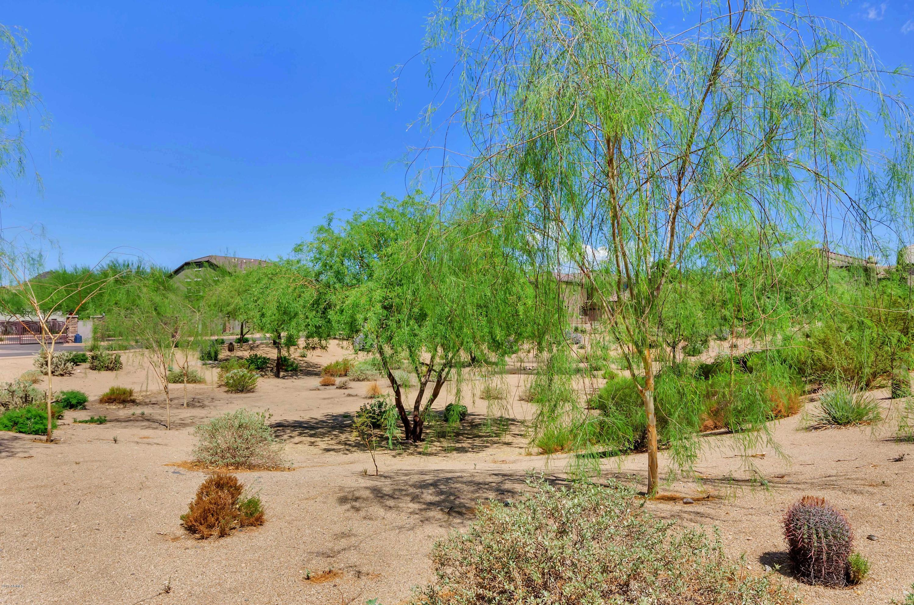 3316 West Florimond Road Phoenix, AZ 85086 - Photo 39 of 39 Side Desert Area Next to Home!