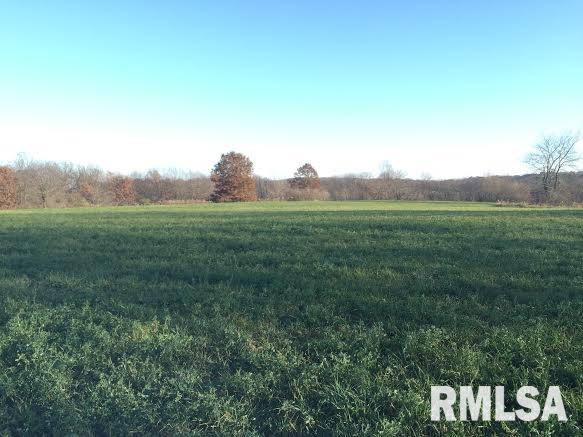 17555 North Middle Grove Road Farmington, IL 61531 - Photo 12 of 32