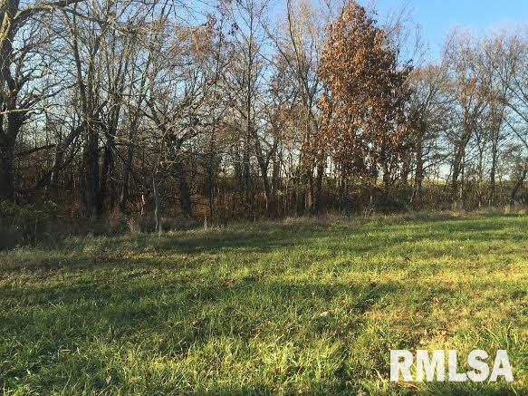 17555 North Middle Grove Road Farmington, IL 61531 - Photo 13 of 32